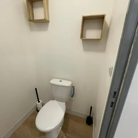 Appartement Neuf Tranquille Au Centre De Roanne